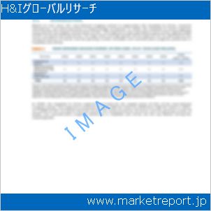 市場と産業調査レポートのイメージ